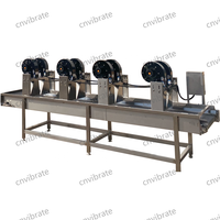 Vbjx Aardappel Kool Salade Tomaat Reinigingsmachine Plantaardige Luchtbel Wasmachine Fruit Wasmachine Met Transportband Lijn Prijs