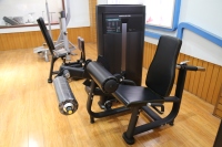 Machine à flexions de jambes E623 la plus vendue, équipement de fitness pour la musculation des jambes