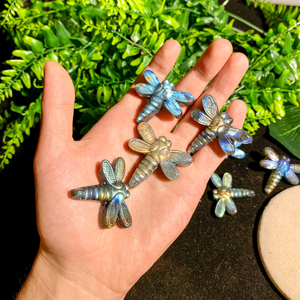 Bán buôn tinh thể tự nhiên đá màu xanh Flash Labradorite pha lê Labradorite chuồn chuồn khắc để trang trí - Product Image 3