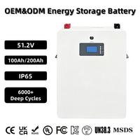 Batterie de stockage d'énergie solaire domestique murale OEM CE 51.2V 100Ah 200Ah LiFePO4, pack de batteries lithium-ion 6000 cycles hors réseau