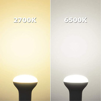 Lumière de parapluie sans scintillement AC85-265V 5/7/12/15W R39 R50 R63 R80 E14 E27 Led ampoule blanc éclairage chaud pour le bureau à domicile