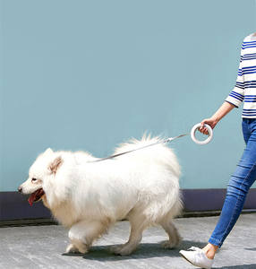 Kingtale <span class=keywords><strong>Moestar</strong></span> النسخة الذكية الأيدي الحرة مكافحة صدمة قابل للسحب الكلب الرصاص الذكية طوق للحيوانات الأليفة قابل للسحب الكلب المقود - Product Image 2