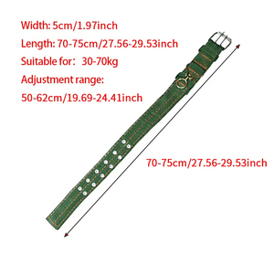 Attrezzatura per <span class=keywords><strong>Animali</strong></span> da Fattoria, Corda Speciale da 1M per Collare di Bovini e Ovini, Cinghia per Collo di Bestiame, Nuovo Cinturino in Tela Resistente a 4 Strati in Nylon - Product Image 2