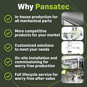Pansatec 2 Layer High Efficiency LDPE LLDPE HDPE PP Air Bubble Film Wrap Sheet Roll Cutting Making Extrusion Machine