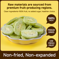 FD Kiwi Fruit Slices 100% Natuurlijk Zoet Fabrieksgroothandel Snack in Bulk Verpakking