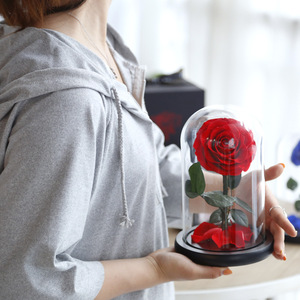 En gros Beauté Bête Enchanté Bella <span class=keywords><strong>Rose</strong></span> préservé <span class=keywords><strong>rose</strong></span> dôme préservé <span class=keywords><strong>rose</strong></span> en verre - Product Image 5