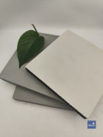 Système de coffrage modulaire en plastique assemblé pour la construction de bâtiments en béton de grande hauteur