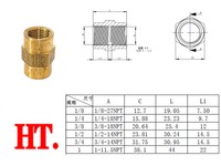 Raccord de tuyauterie en laiton haute pression, raccord femelle à tête hexagonale NPT, raccord de plomberie
