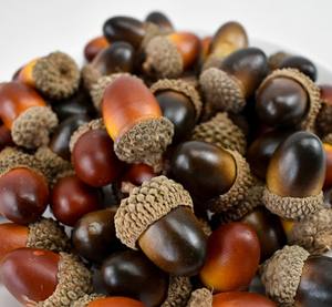 ลูกโอ๊กเทียมขนาดเล็ก ผลไม้ปลอม <span class=keywords><strong>ของ</strong></span>ตกแ<span class=keywords><strong>ต</strong></span>่งเหมือนจริง <span class=keywords><strong>ต</strong></span>้นไม้จำลอง งานฝีมือ - Product Image 4