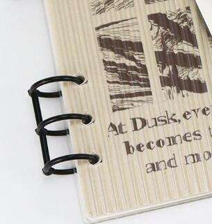 Carpeta de anillos negro