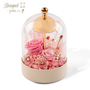 Lámpara de Mesa con Rosa Eterna Preservada, Luz Nocturna de Larga Duración (3-5 Años), Regalo para <span class=keywords><strong>el</strong></span> Día de San Valentín, Pascua, Día de la Madre - Product Image 5