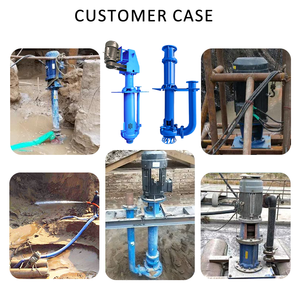 Chemical Resistant High Iron Vertical Sump Slurry <b>Pump</b> Submerged Sand Sewage <b>Pump</b> for Automotive Watering - Product Image 4