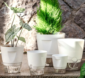 <span class=keywords><strong>Macetas</strong></span> de Plástico Minimalistas Transpirables y Autoirrigables con Depósito de Agua Transparente para Uso en Interiores del Hogar - Product Image 2