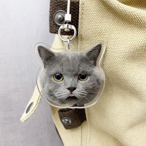 Custom Clear Acrylic Keychain Cartoon Anime Holographic Keychain Charm Animal Cats Plastic KeyChains Custom