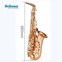 Eb Alto Saxophone Bronze/Gold-Plated Brass Body Hand-Engraved Details Bakelite Head for School Professional Performances