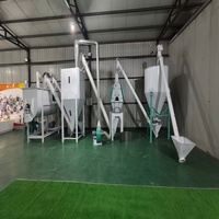 Ligne de machine à granulés d'aliments automatiques Ns, capacité de 100 tonnes/h, moteur électrique, granulés personnalisables (0,5-12 mm) pour animaux d'élevage