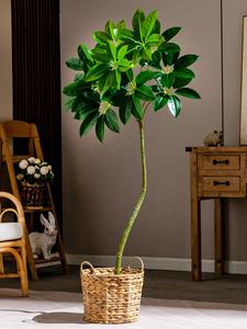 Planta Artificial Decorativa para Interiores, Tipo <span class=keywords><strong>Schefflera</strong></span> Microphylla Merr, con Hojas Grandes, <span class=keywords><strong>de</strong></span> Plástico Ecológico, 120 cm - Product Image 2