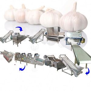 Professional Peeled Garlic Vacuum Packing <b>Packaging</b> in Cans Peel Product <b>Line</b> With Ce Certificate - Product Image 4