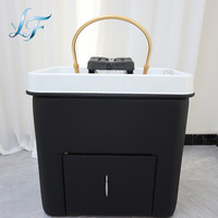 Bac à shampoing portable pour spa capillaire, thérapie et vapeur, mobilier de salon, bac à shampoing de haute qualité pour salon