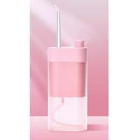 Portable électrique eau Flosser 4 buses de remplacement pratique irrigateur utilisation de voiture fil dentaire USB batterie Oral propre extérieur