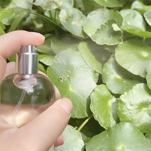 Svuotare flaconi Spray in vetro da 30 ml o 50 ml e riempirli con bottiglie di profumo in vetro per atomizzatore di profumo di olio essenziale - Product Image 6