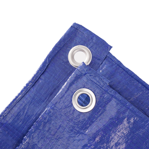 Lona de Polietileno con Protección UV, Tela Plástica para Agricultura/Industria - Product Image 5