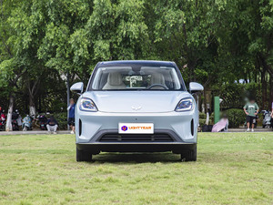 Bingo S 430km: Auto Elettrica Intelligente di Qualità Premium con Ricarica Rapida - Product Image 1