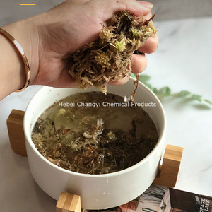 Nueva Zelanda Sphagnum Moss Live Fresh para plantas carnívoras - Product Image 5