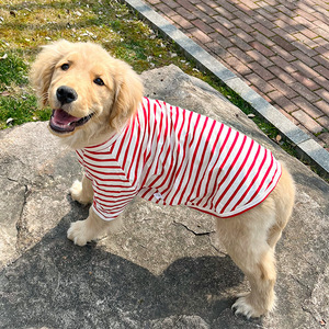 T-shirt d'été rayé en coton pour chien, pull moderne pour animaux de compagnie, pour Welsh Corgi, Samoyed, Husky, <span class=keywords><strong>Labrador</strong></span>, <span class=keywords><strong>Golden</strong></span> <span class=keywords><strong>Retriever</strong></span> - Product Image 3
