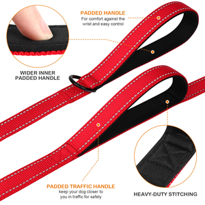 Laisse pour chien en nylon réfléchissant, robuste, pour la promenade des chiens de taille moyenne et grande, épaissie pour un contrôle supplémentaire - Product Image 2