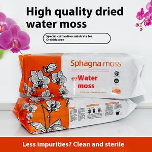 Orchidée de mousse Phalaenopsis séchée fraîche Dendrobium plante mangeuse d'insectes sol spécial pour Noël Thanksgiving Halloween - Product Image 5