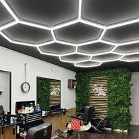 SUEZ Promotion Spéciale : Éclairage de Garage Hexagonal, Plafonnier de Détail, Lumières de Détail en Nid d'Abeille