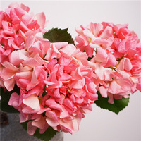 Cabeza de Flor de Hortensia Artificial con Tacto Realista, para Decoración de Paredes de Boda, Fondo para Despedida de Soltera, Flores al por Mayor