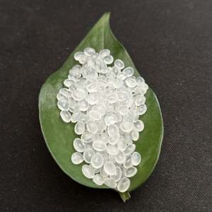 Gránulos de PP de Grado Médico Mit-sui Chemicals MR6500 Pueden Reemplazar Plásticos de Ingeniería - Product Image 5