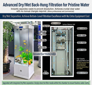 <span class=keywords><strong>Acquario</strong></span> Moderno in Vetro Ultra Trasparente, Design Senza Cornice, Ecologico, Rettangolare di Medie Dimensioni per Ufficio e Casa - Product Image 6