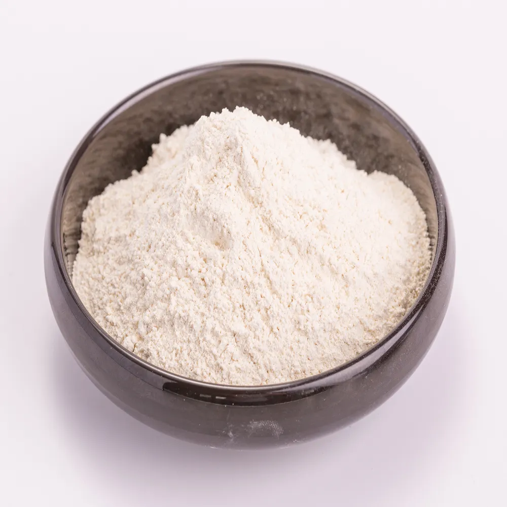 食品添加物米タンパク質粉末85% 米タンパク質粉末米タンパク質
