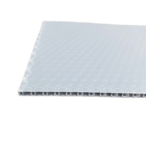 Panneau <span class=keywords><strong>alvéolaire</strong></span> anti-âge écologique gris brillant en <span class=keywords><strong>polypropylène</strong></span> (PP) GUANYU, plastique sur mesure, découpe 2-12 mm, livraison 3-10 jours - Product Image 2