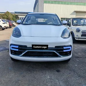 Factory Direct Shipment Customizable Low-speed Eco-friendly ChuangRuiSi Mini EV Electric Vehicle New Energy Car