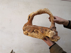 Unico acquario serbatoio di pesce decorazione con radici - Product Image 2