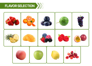 Sobres de Polvo Electrolítico Sin Azúcar, Mezcla de Sabores Personalizados, Suplemento Vitamínico, Polvo para Hidratación - Product Image 6