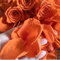 Gedroogde sinaasappelroosblaadjes confetti bruiloft biologisch afbreekbare geconserveerde bloemblaadjes bulk losse feestdecoratie gevriesdroogde bloemen zakjes
