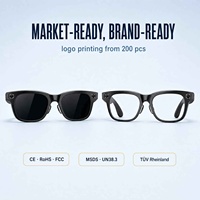 Lunettes Intelligentes IA en Gros avec Caméra, Traduction en Temps Réel, Assistant Vocal, Contrôle Tactile et Verres Interchangeables pour le Voyage
