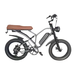 High-Speed 48V 250W To 1000W Electric Bicycle Central Motor 1000W 48V E-Bike With Lithium Battery Stock Electric Motorcycle