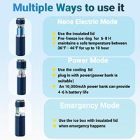 Étui de voyage isotherme portable pour insuline, mini-réfrigérateur à double température pour médicaments diabétiques