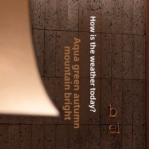 Lettere in Rilievo <span class=keywords><strong>Tridimensionali</strong></span> Personalizzate in Rame e Alluminio per Pareti di Sfondo, Lettere in Acciaio Inossidabile con Superficie Spazzolata per Branding - Product Image 3