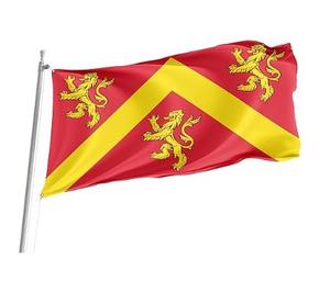 Bandera de East Lothian de Diseño Nuevo, Bandera Personalizada para Exteriores de 3x5 pies, Impresión a una Cara, Bandera de Bienvenida para Jardín con Diseño Personalizado - Product Image 4