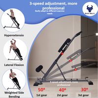 Chaise romaine pliable multifonctionnelle, banc d'extension dorsale, appareil d'hyperextension, équipement de fitness à domicile pour hommes et femmes