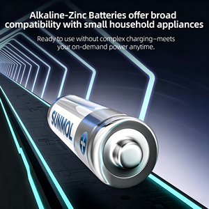 Pila Alcalina AA de 1.5V con Voltaje Estable para Diversos Electrodomésticos Pequeños, Radios, Linternas, Cámaras, Maquinillas de Afeitar, Llaves de Coche, Controles Remotos - Product Image 4