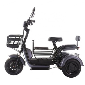 New Adult Three Wheeled Electric Vehicle with 48V Lead-acid Battery 500W Open Two Seater Electric Tricycle - Product Image 2