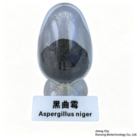 Poudre de spores d'Aspergillus Niger 5 milliards UFC/g Enzymes de qualité alimentaire pour porcs, bovins, ovins, canards, oies Améliore la digestibilité Stimule la nutrition